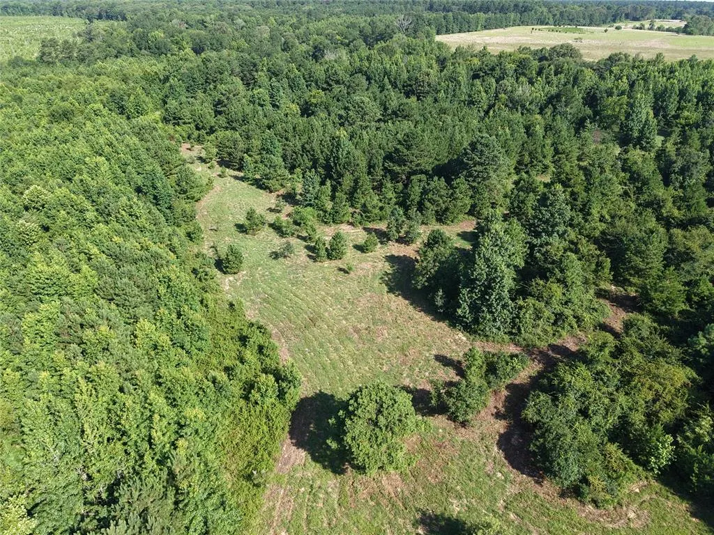 Photo 12 — 37 TBD Butler Road Road, Haworth, OK 74740