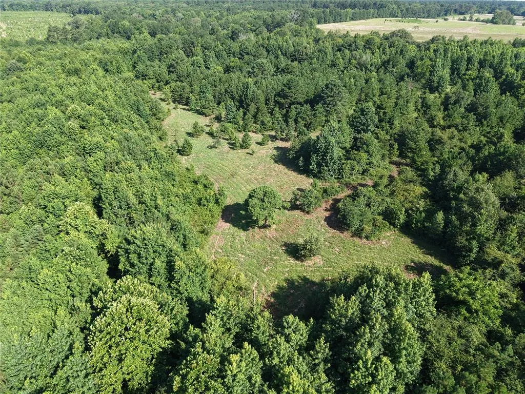 Photo 13 — 37 TBD Butler Road Road, Haworth, OK 74740