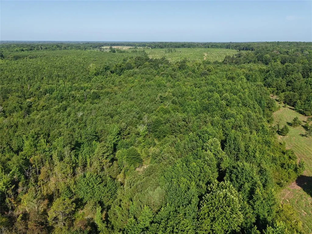 Photo 14 — 37 TBD Butler Road Road, Haworth, OK 74740