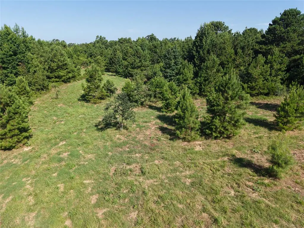 Photo 15 — 37 TBD Butler Road Road, Haworth, OK 74740