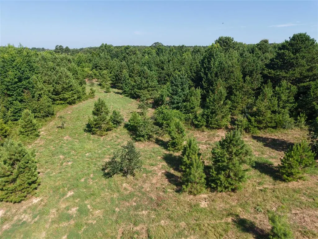 Photo 16 — 37 TBD Butler Road Road, Haworth, OK 74740