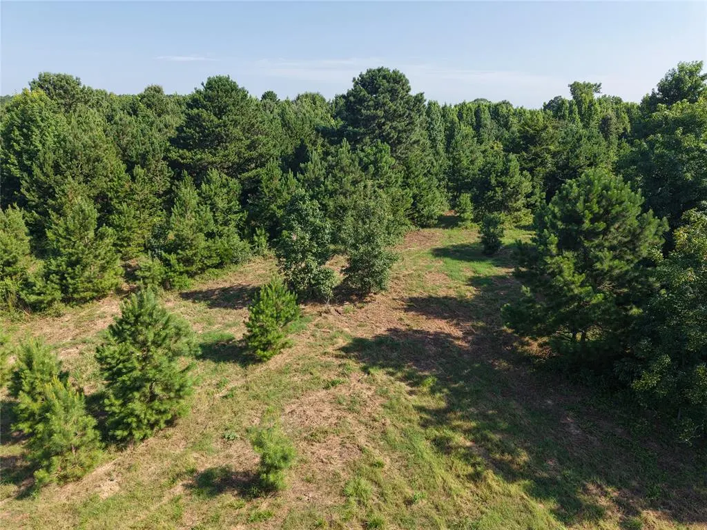 Photo 17 — 37 TBD Butler Road Road, Haworth, OK 74740