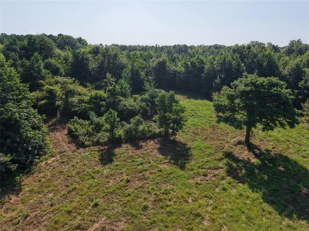 Photo 18 — 37 TBD Butler Road Road, Haworth, OK 74740