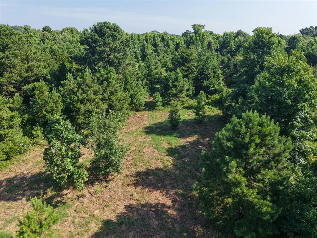 Photo 19 — 37 TBD Butler Road Road, Haworth, OK 74740