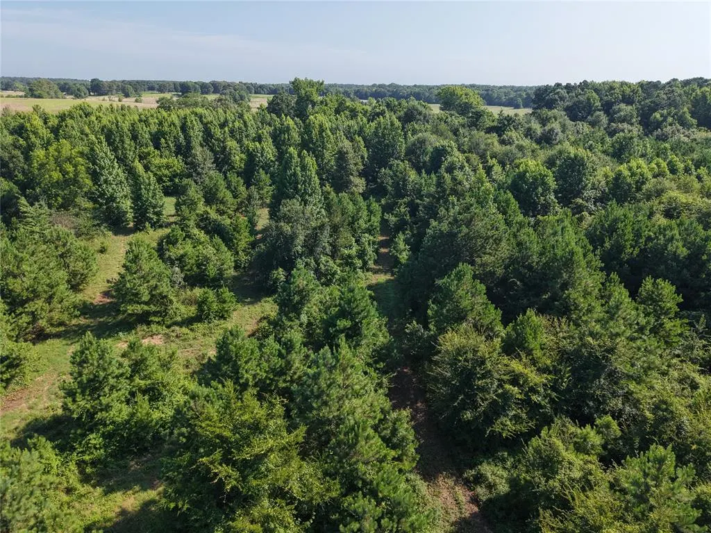 Photo 20 — 37 TBD Butler Road Road, Haworth, OK 74740