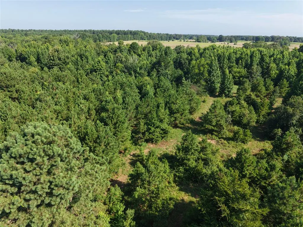 Photo 21 — 37 TBD Butler Road Road, Haworth, OK 74740