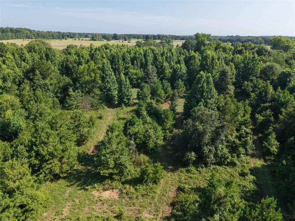 Photo 22 — 37 TBD Butler Road Road, Haworth, OK 74740