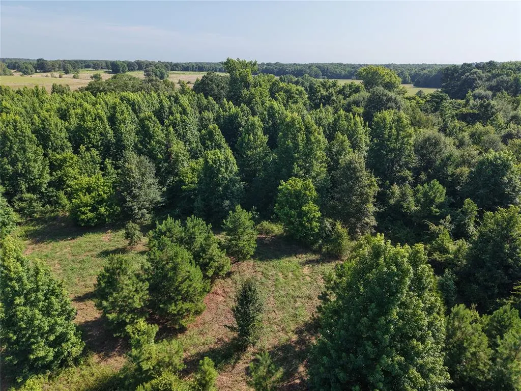 Photo 23 — 37 TBD Butler Road Road, Haworth, OK 74740