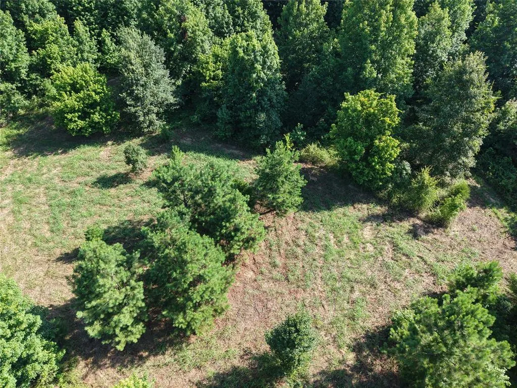 Photo 24 — 37 TBD Butler Road Road, Haworth, OK 74740