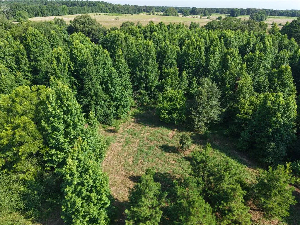 Photo 25 — 37 TBD Butler Road Road, Haworth, OK 74740