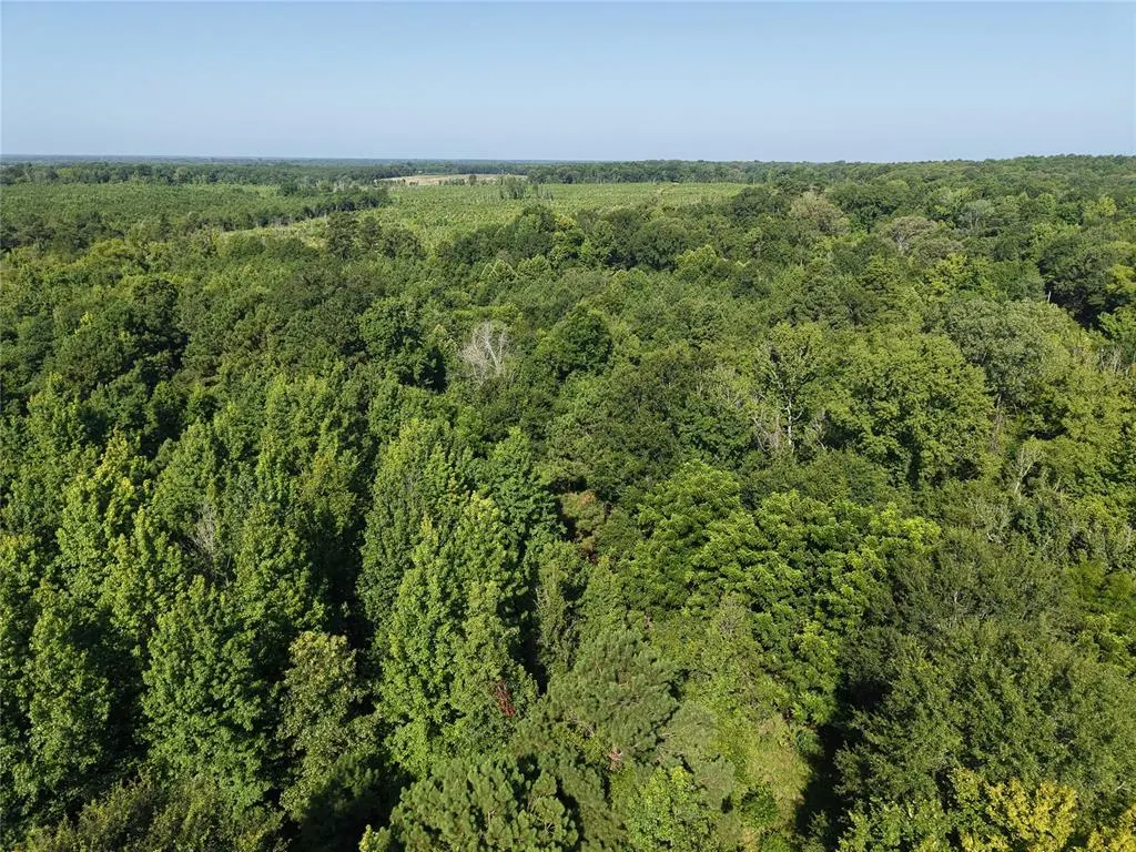 Photo 26 — 37 TBD Butler Road Road, Haworth, OK 74740