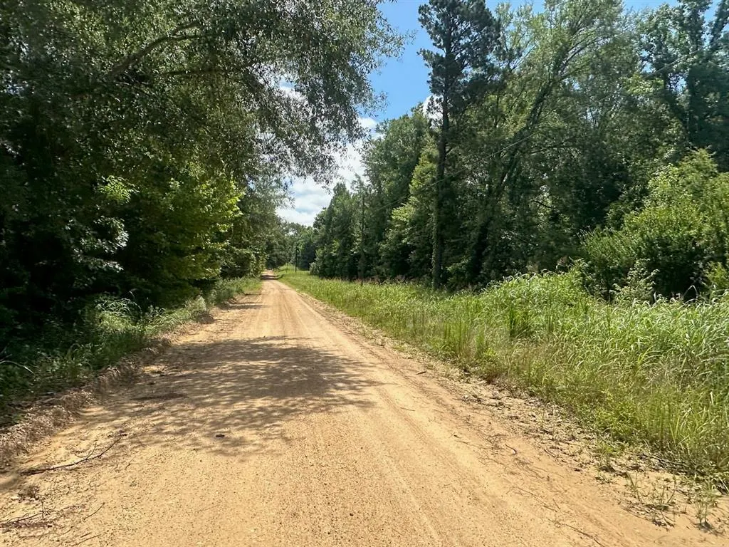 Photo 27 — 37 TBD Butler Road Road, Haworth, OK 74740