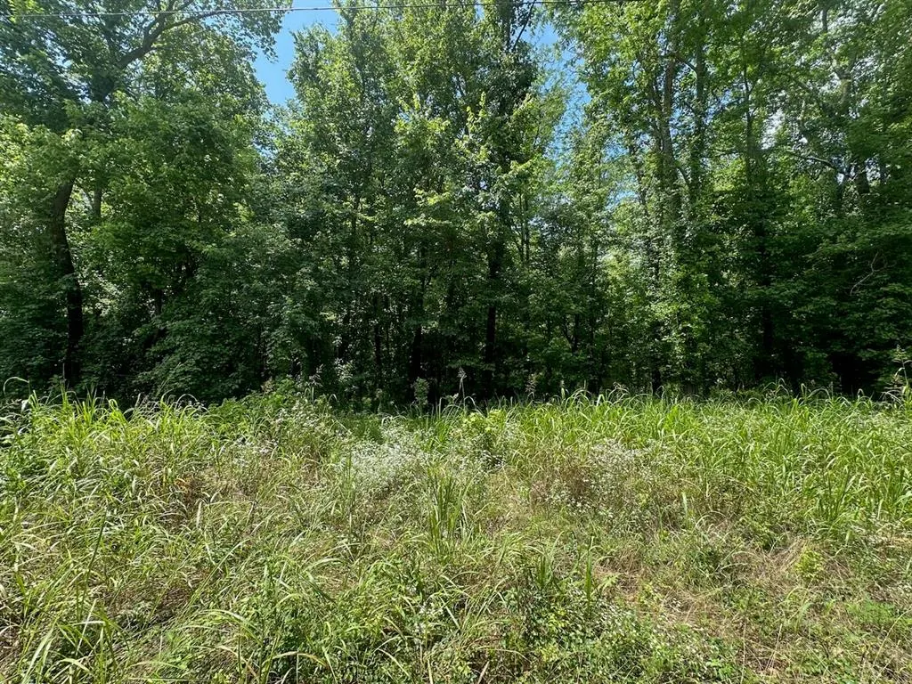 Photo 28 — 37 TBD Butler Road Road, Haworth, OK 74740