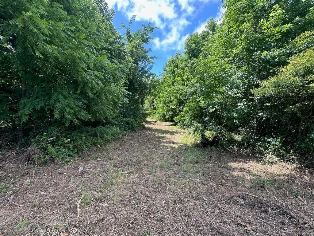 Photo 29 — 37 TBD Butler Road Road, Haworth, OK 74740