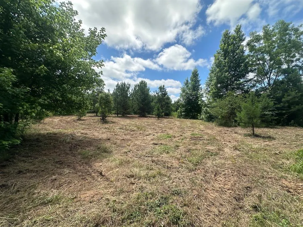 Photo 30 — 37 TBD Butler Road Road, Haworth, OK 74740