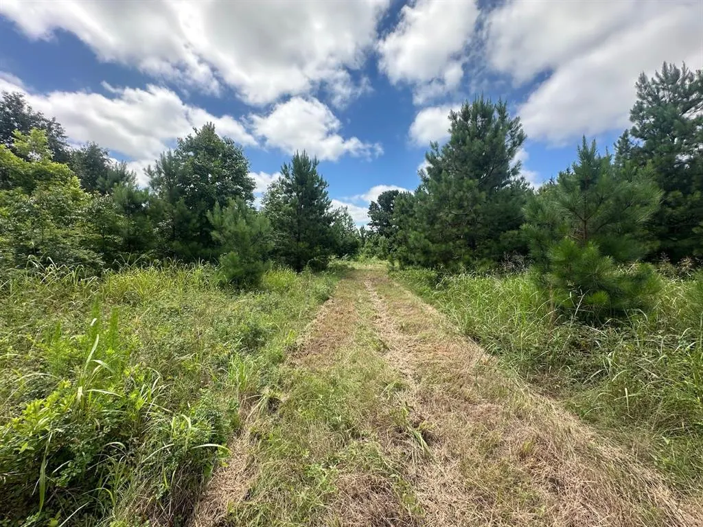 Photo 31 — 37 TBD Butler Road Road, Haworth, OK 74740