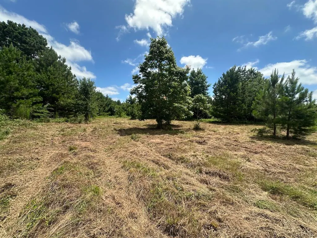 Photo 32 — 37 TBD Butler Road Road, Haworth, OK 74740