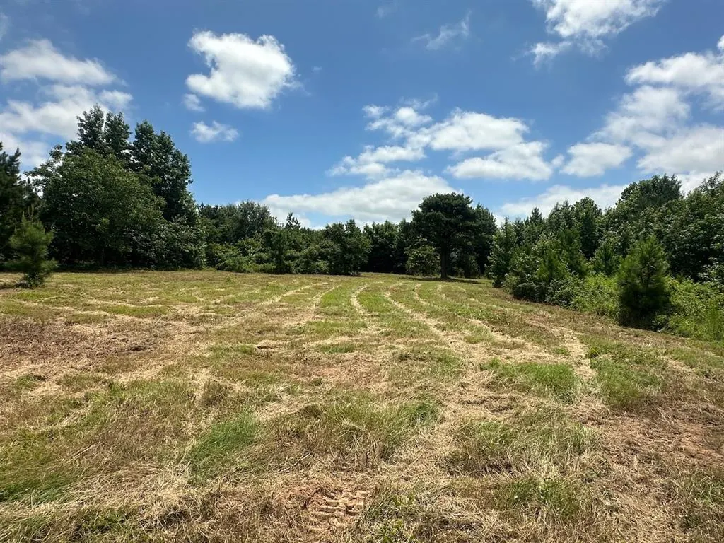 Photo 33 — 37 TBD Butler Road Road, Haworth, OK 74740