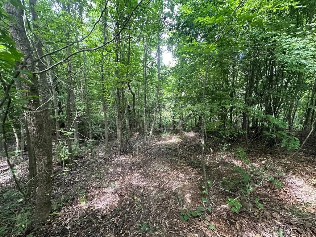 Photo 34 — 37 TBD Butler Road Road, Haworth, OK 74740