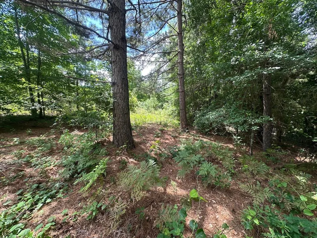 Photo 35 — 37 TBD Butler Road Road, Haworth, OK 74740