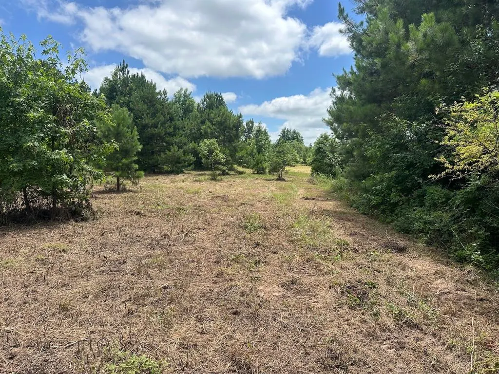 Photo 36 — 37 TBD Butler Road Road, Haworth, OK 74740