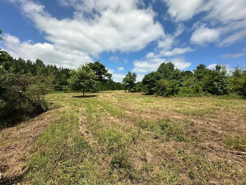 Photo 37 — 37 TBD Butler Road Road, Haworth, OK 74740