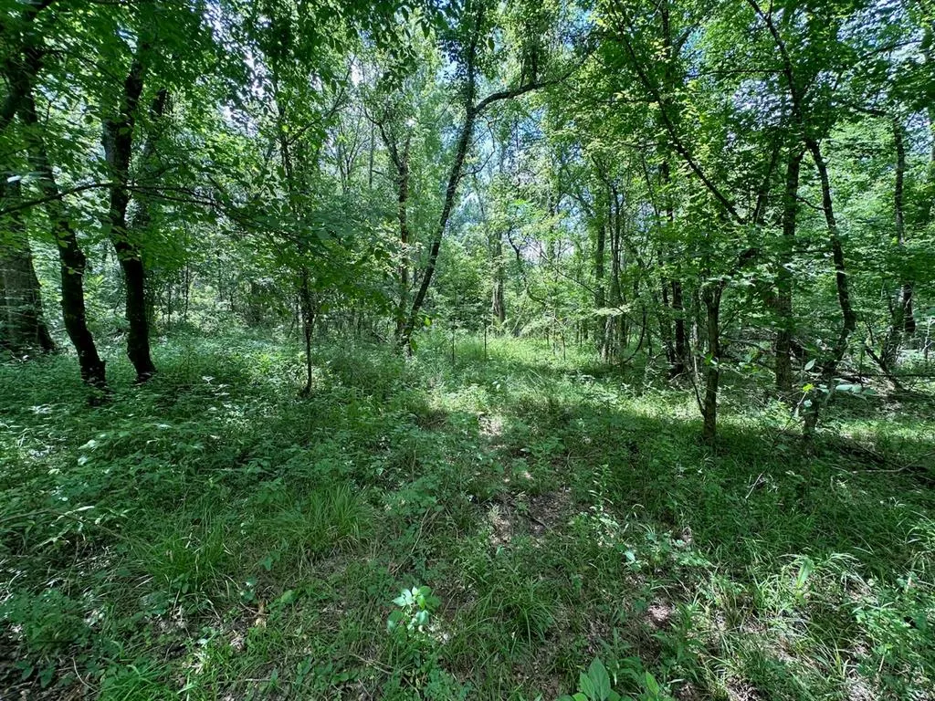 Photo 38 — 37 TBD Butler Road Road, Haworth, OK 74740