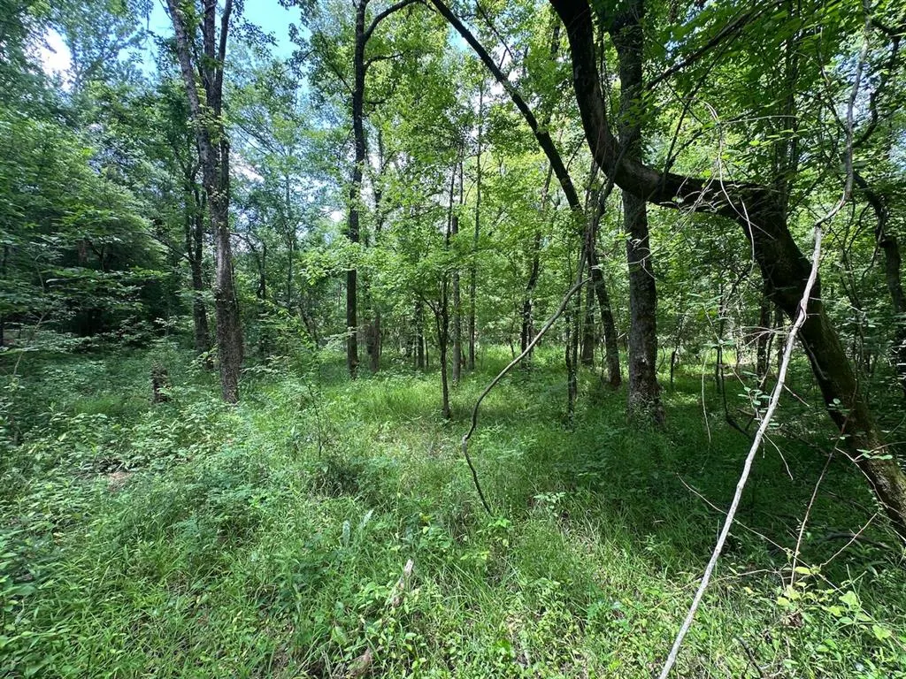 Photo 39 — 37 TBD Butler Road Road, Haworth, OK 74740