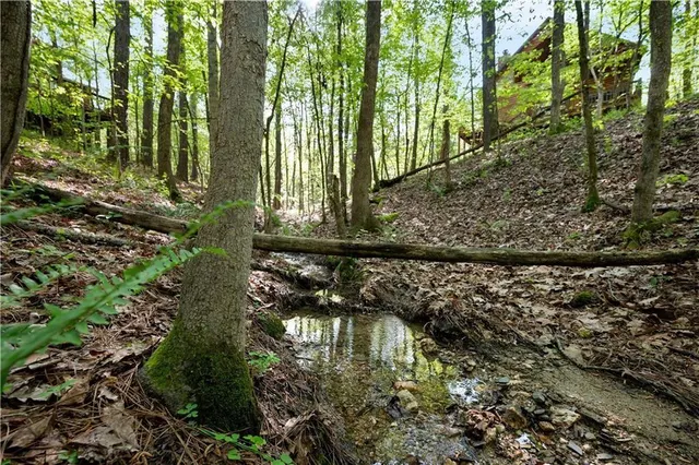 Photo 5 — 557 Hidden Dogwood Trail, Broken Bow, OK 74728
