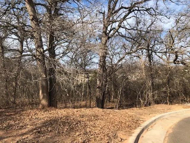 Photo 4 — 01 E Redbud Creek Circle, Harrah, OK 73045