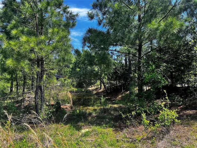 Photo 6 — 62 BR Johnson Road, Broken Bow, OK 74728