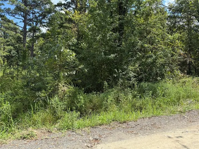 Photo 2 — Address unavailable, Broken Bow, OK 74728