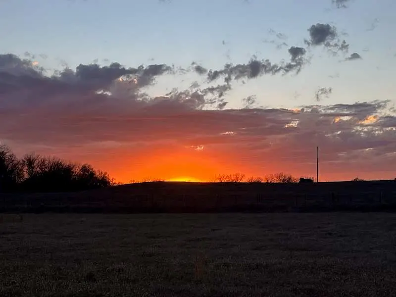 Photo 10 — Box Road, Lexington, OK 73051