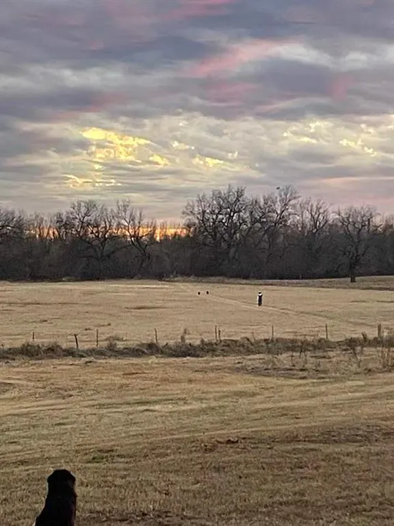 Photo 12 — Box Road, Lexington, OK 73051