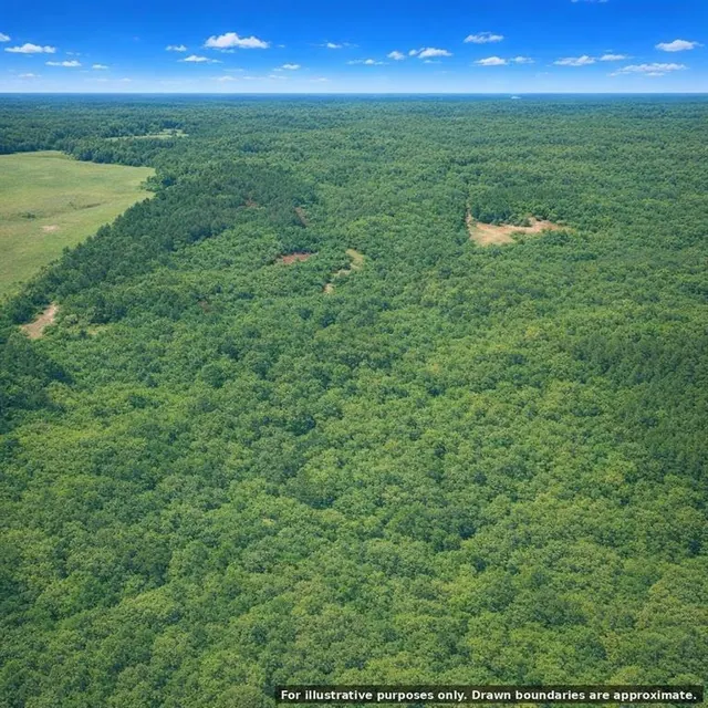 Photo 3 — 123 no address Road, Red Oak, OK 74563