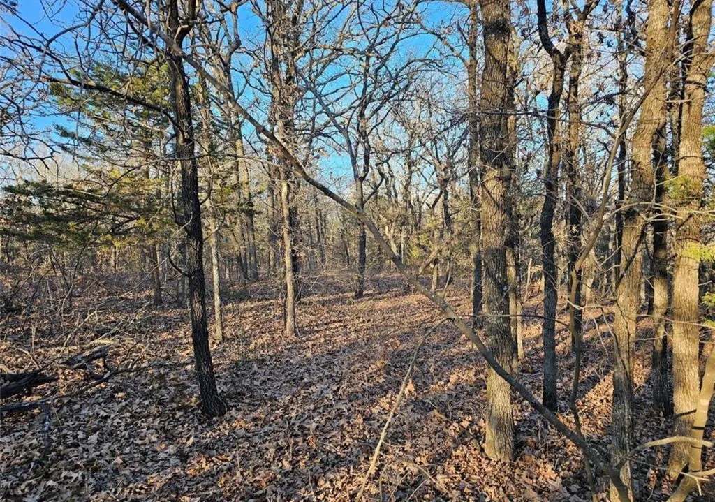 Photo 3 — 32 Todd Drive, Luther, OK 73054