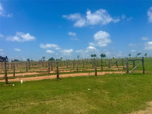 Photo 5 — 29868 Vineyard Meadow Road, Norman, OK 73072
