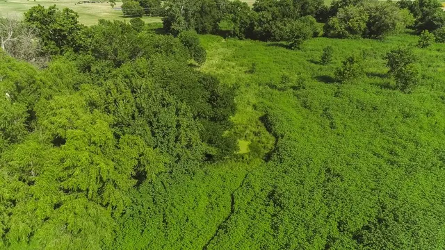 Photo 8 — 7641 Froman Road, Wynnewood, OK 73098