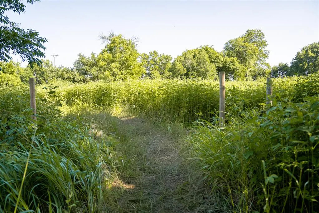 Photo 16 — 7641 Froman Road, Wynnewood, OK 73098