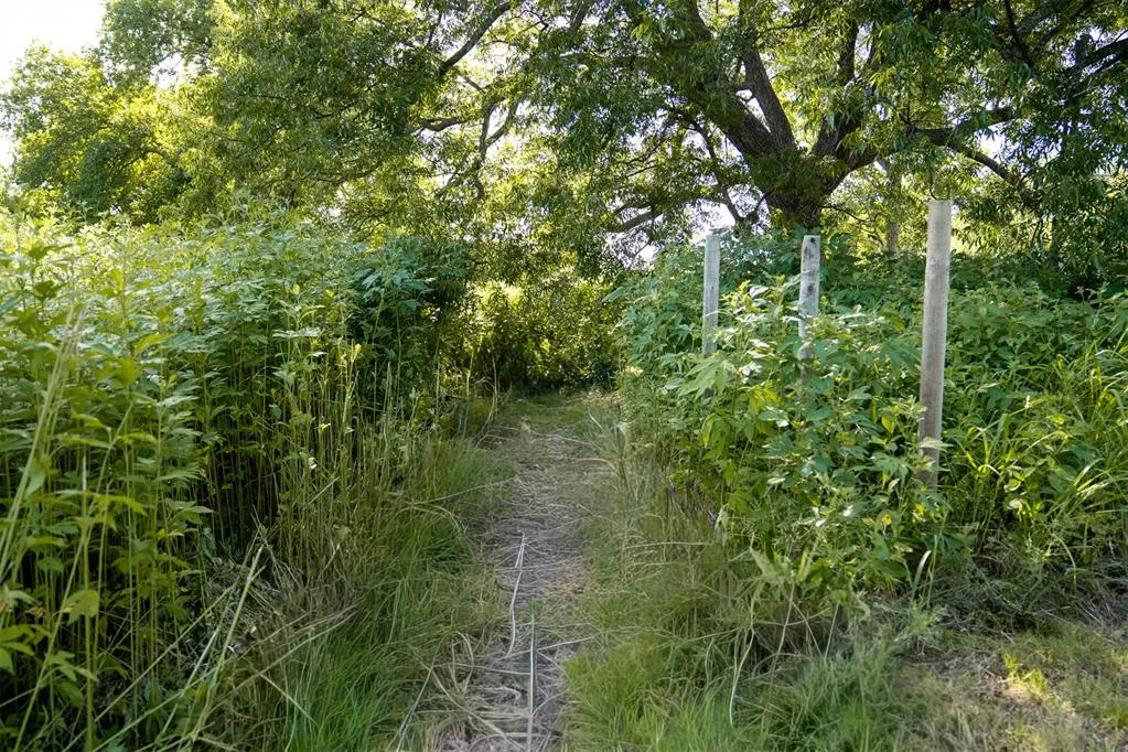 Photo 17 — 7641 Froman Road, Wynnewood, OK 73098