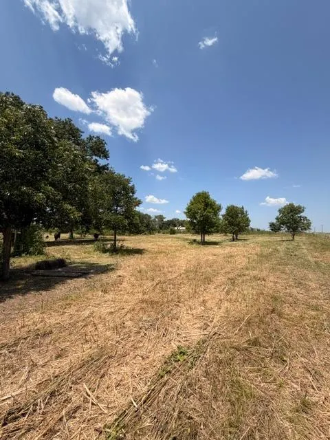 Photo 18 — 7641 Froman Road, Wynnewood, OK 73098