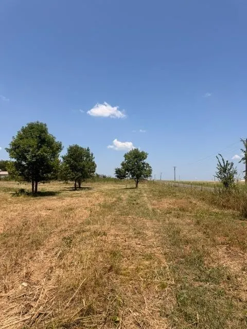 Photo 19 — 7641 Froman Road, Wynnewood, OK 73098
