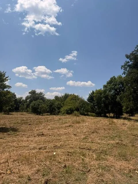 Photo 22 — 7641 Froman Road, Wynnewood, OK 73098