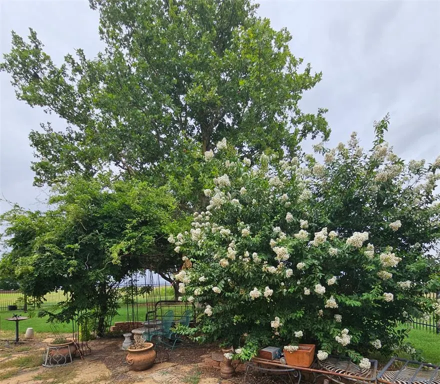 Photo 9 — 124 N Lee Street, Hollis, OK 73550