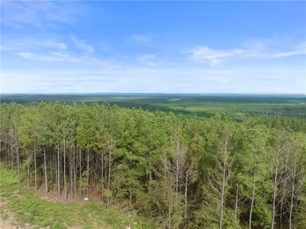 Photo 3 — 659 Timberline, Broken Bow, OK 74728