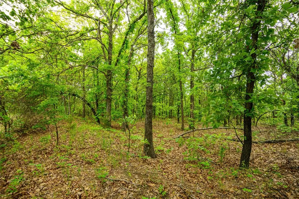 Photo 3 — 0000 S 299th West Avenue, Bristow, OK 74010