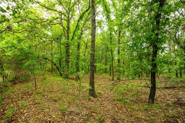 Photo 3 — 0000 S 299th West Avenue, Bristow, OK 74010