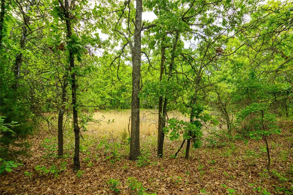 Photo 14 — 0000 S 299th West Avenue, Bristow, OK 74010