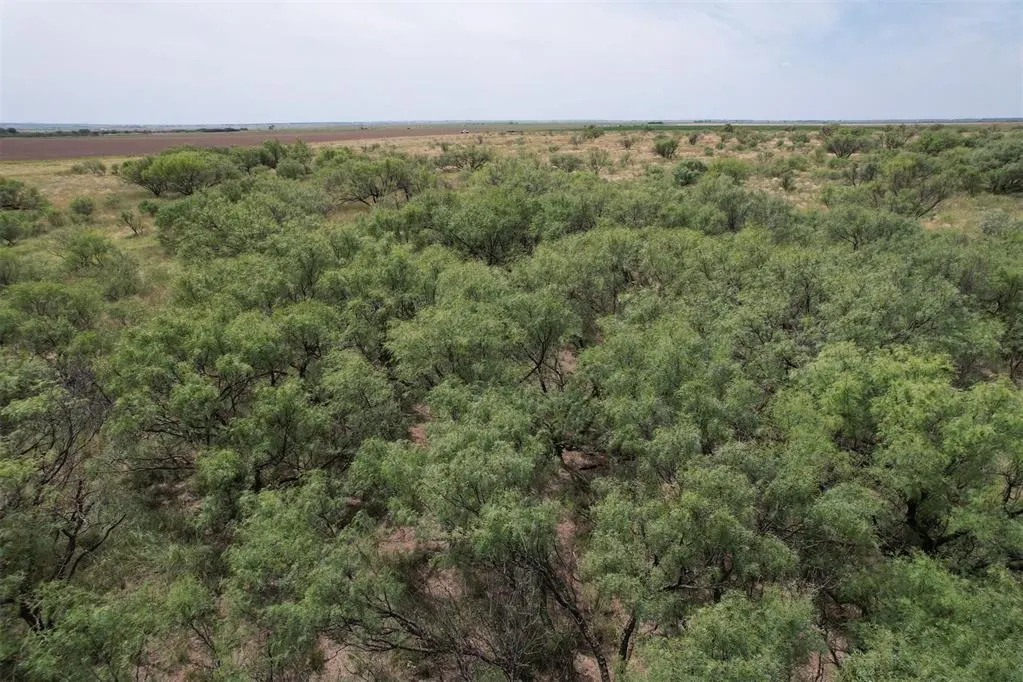 Photo 8 — 1550 E County Road, Mangum, OK 73554