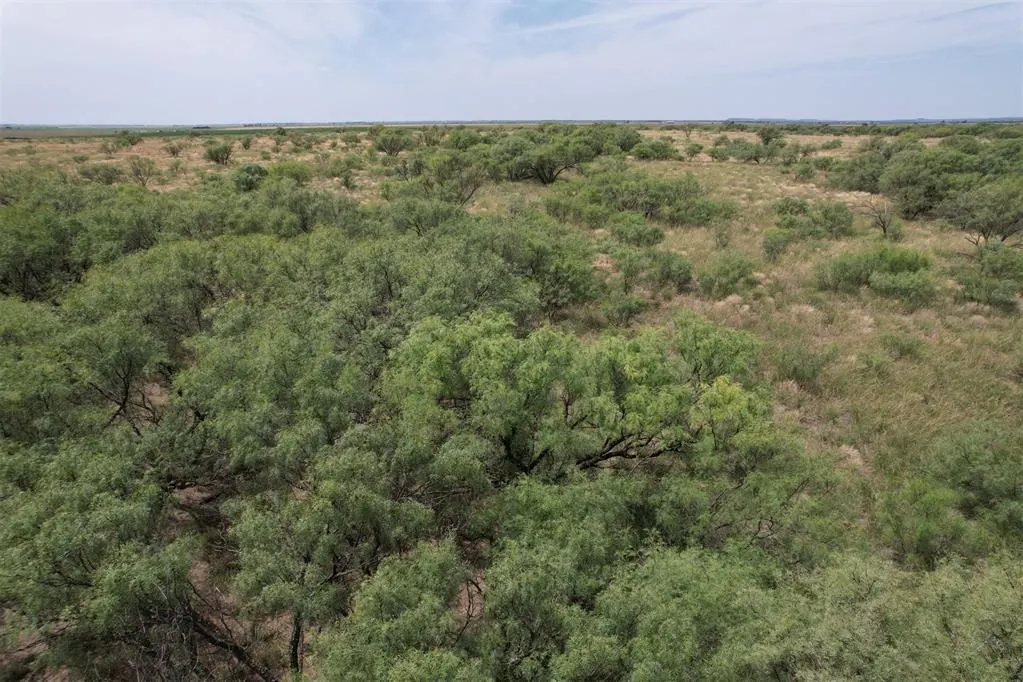 Photo 22 — 1550 E County Road, Mangum, OK 73554